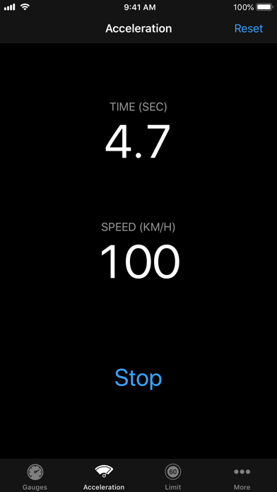 Speedometer∞ screenshot 3