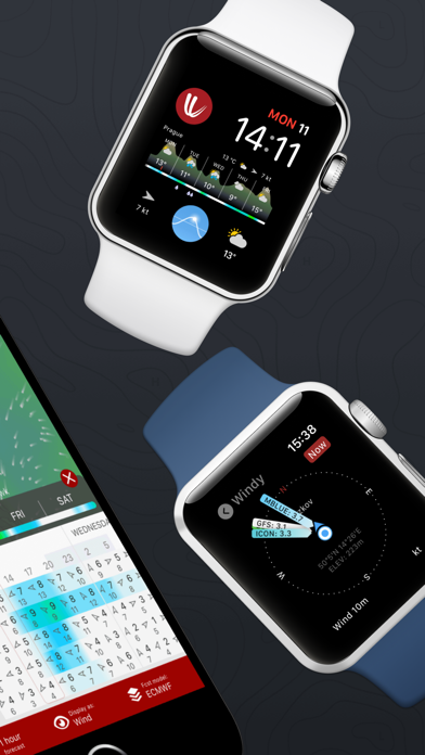 Windy.com screenshot 4