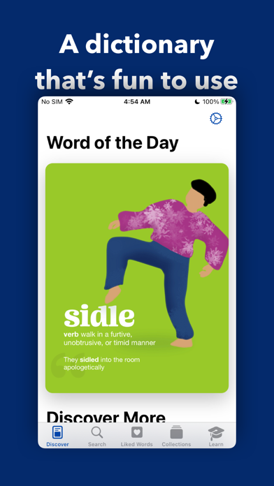 LookUp: English Dictionary screenshot 2