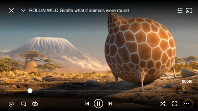 VLC media player screenshot 4
