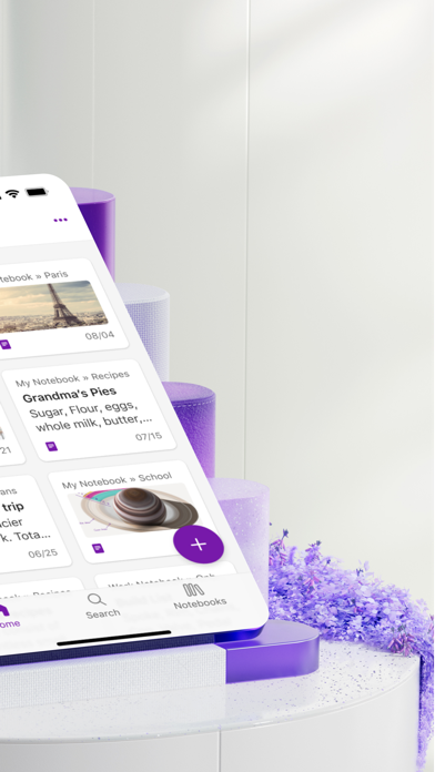 Microsoft OneNote screenshot 2