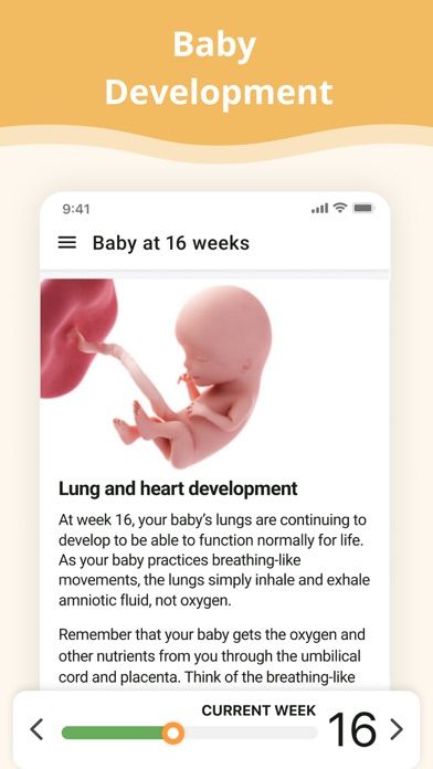 Pregnancy App. screenshot 2