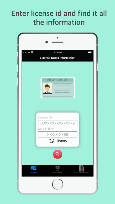 RTO - eChallan, Vehicle info screenshot 4