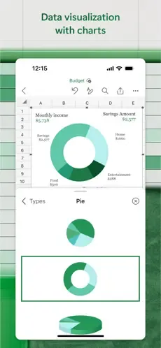 Microsoft Excel screenshot 4