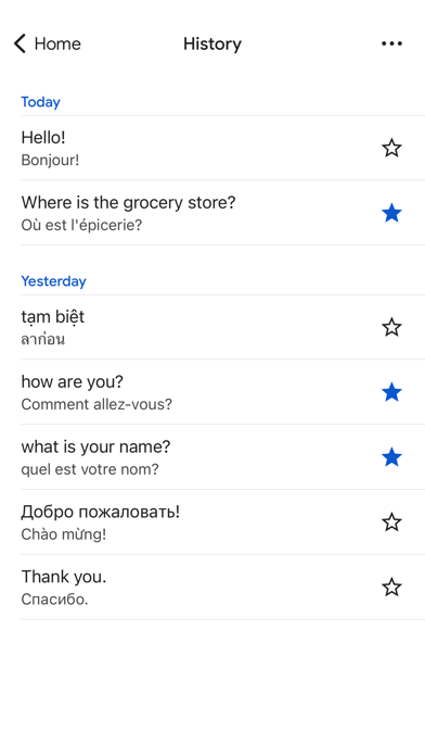 Google Translate screenshot 5