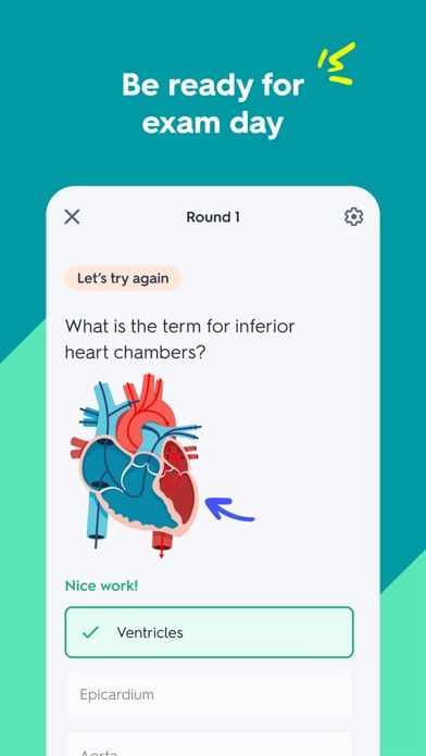 Quizlet: AI-powered flashcards screenshot 4