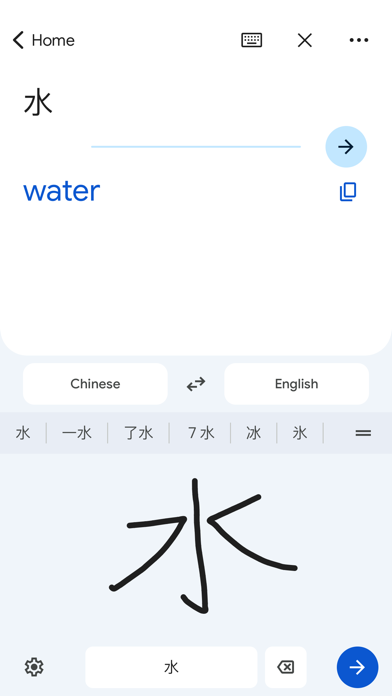 Google Translate screenshot 4