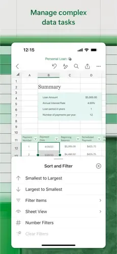Microsoft Excel screenshot 3