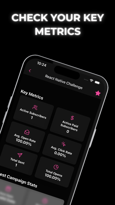 Newsletterytics: Beehiiv's App screenshot 2