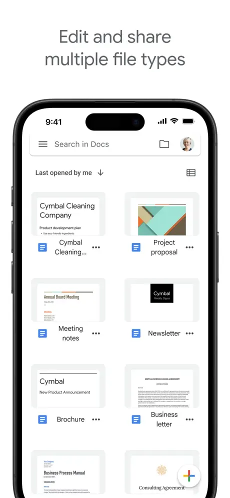Google Docs screenshot 2