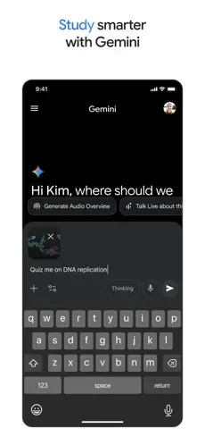 Google Gemini screenshot 4