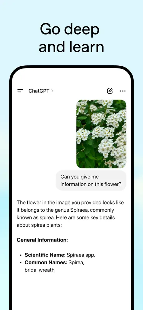 ChatGPT screenshot 4