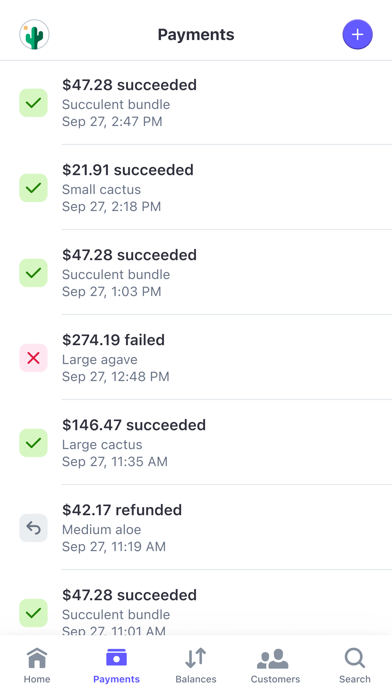 Stripe Dashboard screenshot 5