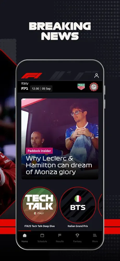 Formula 1® screenshot 2