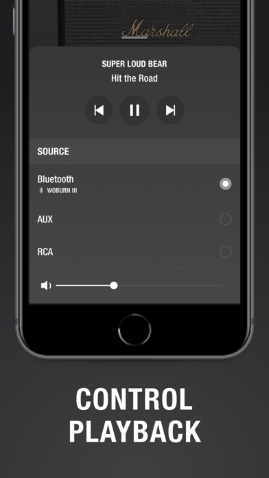 Marshall Bluetooth screenshot 3