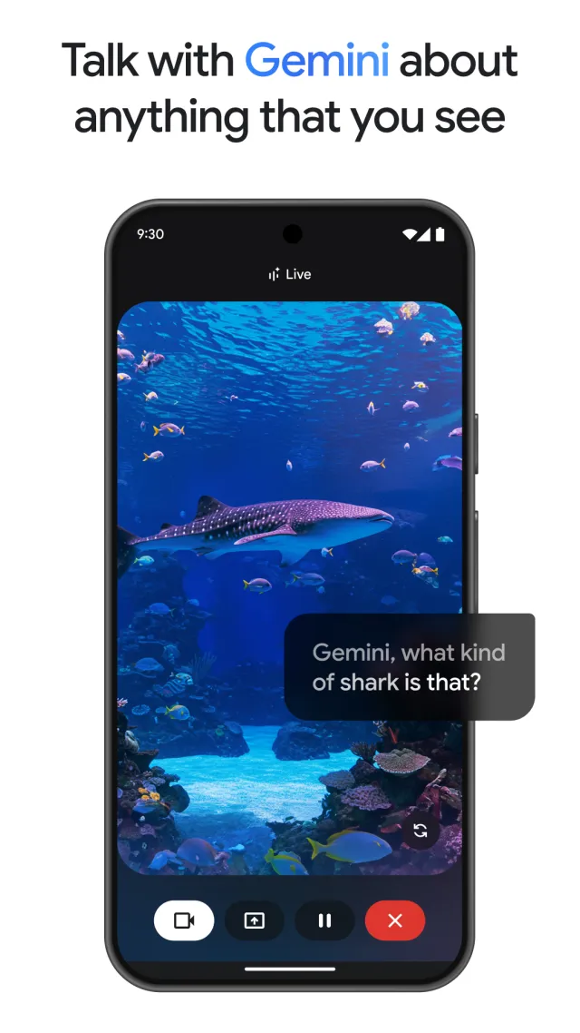 Google Gemini screenshot 3