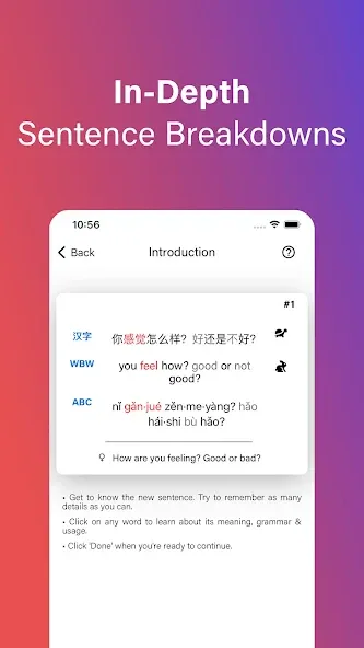 Lingora: Language Learning screenshot 2