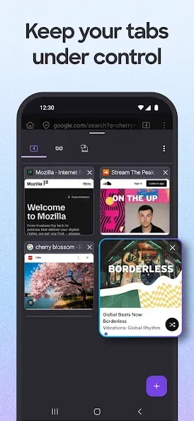 Firefox Fast & Private Browser screenshot 5