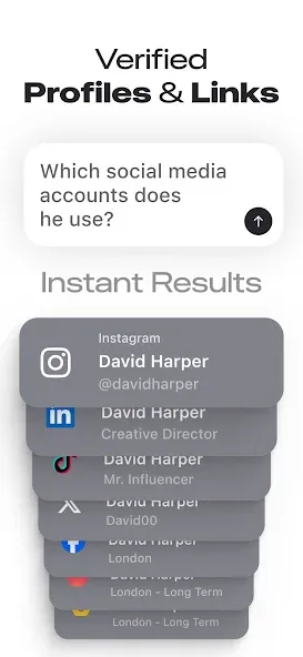 Deepsearch AI Search Assistant screenshot 3