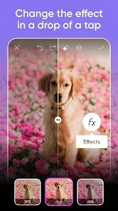 Picsart AI Photo Editor, Video screenshot 2