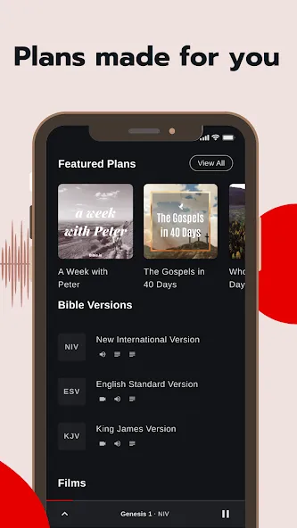 Bible - Audio & Video Bibles screenshot 4