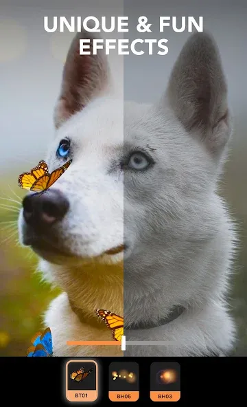 Motionleap by Lightricks screenshot 5