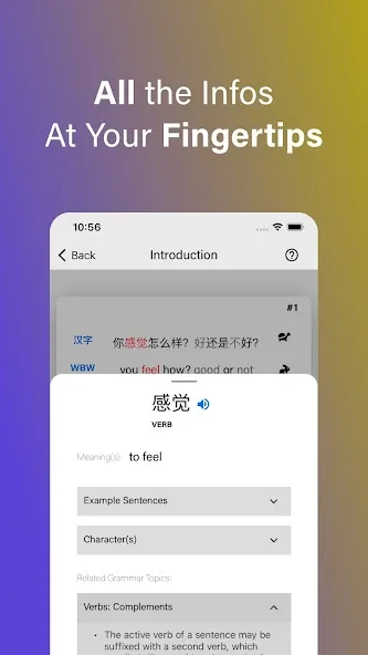Lingora: Language Learning screenshot 3