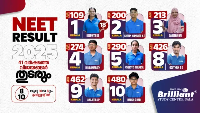 Brilliant Pala e-learning screenshot 3