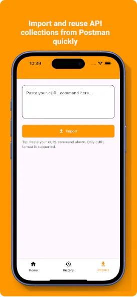 PostMan - Api client screenshot 2