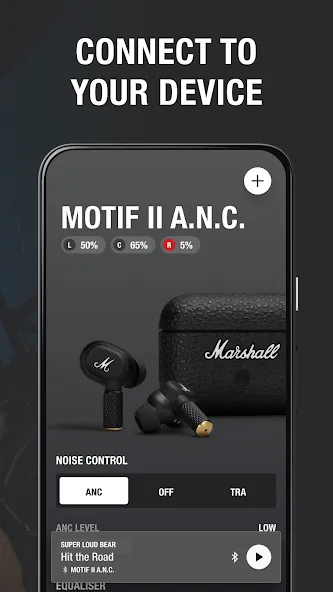 Marshall Bluetooth screenshot 2