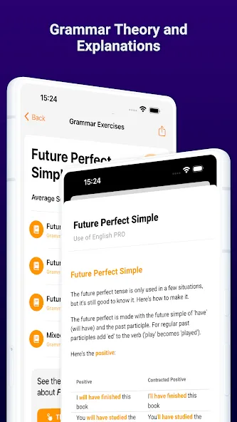 English Grammar PRO screenshot 3