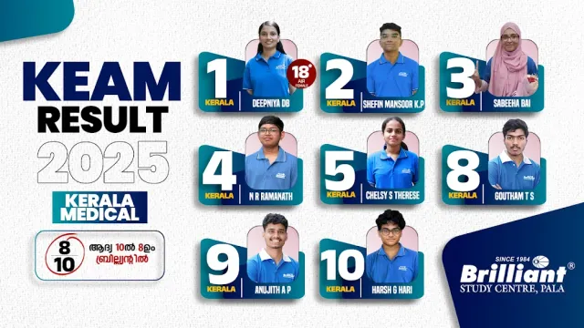 Brilliant Pala e-learning screenshot 1