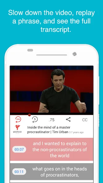 Woodpecker - Language Learning screenshot 5