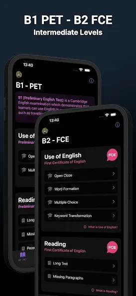 Use of English AI screenshot 2