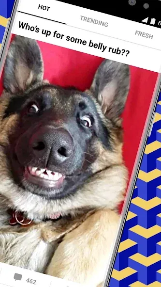 9GAG: Funny GIF, Meme & Video screenshot 2