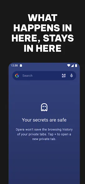Opera: Private Web Browser screenshot 4