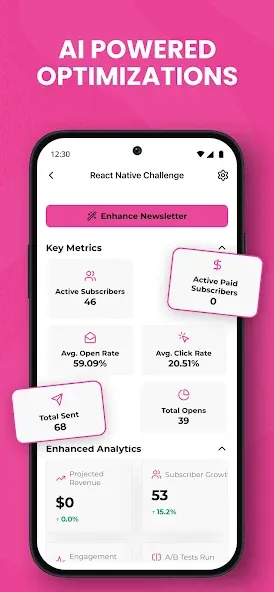 Newsletterytics: Beehiiv Stats screenshot 4