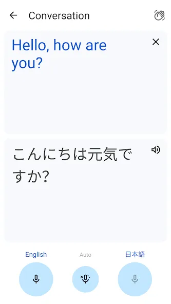 Google Translate screenshot 5